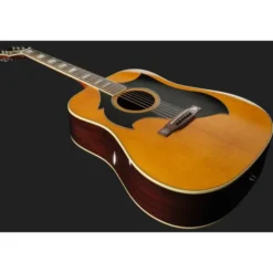 Epiphone Marcus King El Dorado AN