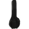 Epiphone Mastertone Bow Tie OB Banjo