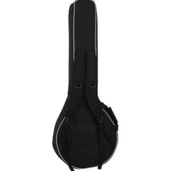 Epiphone Mastertone Bow Tie OB Banjo