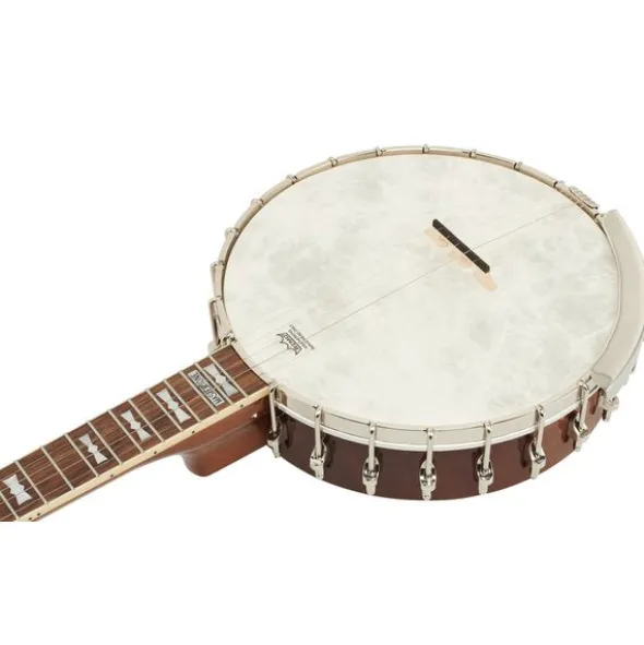 Epiphone Mastertone Bow Tie OB Banjo