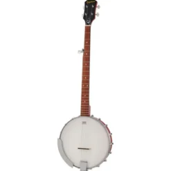 Epiphone MB-100