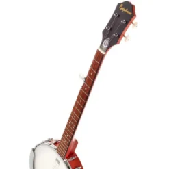 Epiphone MB-100