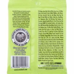 Ernie Ball 2251