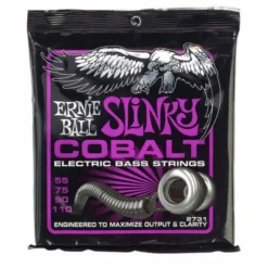 Ernie Ball 2731