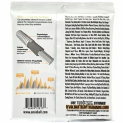 Ernie Ball 2813