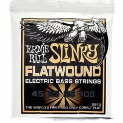 Ernie Ball 2813