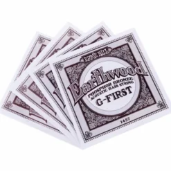 Ernie Ball 2070 Earthwood