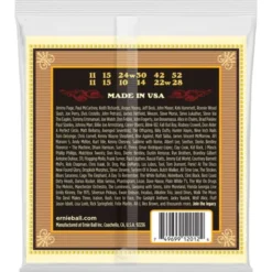 Ernie Ball 2012 Earthwood Bronze