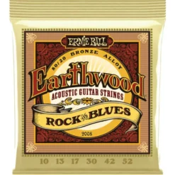Ernie Ball 2008 Earthwood Bronze