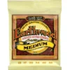 Ernie Ball 2002 Earthwood Bronze