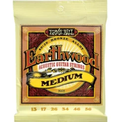 Ernie Ball 2002 Earthwood Bronze