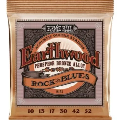 Ernie Ball 2151 Earthwood Phosphor Bronze
