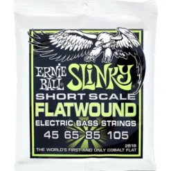 Ernie Ball Flatwound 2818