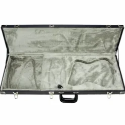 ESP Case CMHFF