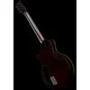 ESP E-II Eclipse FT FM TSB