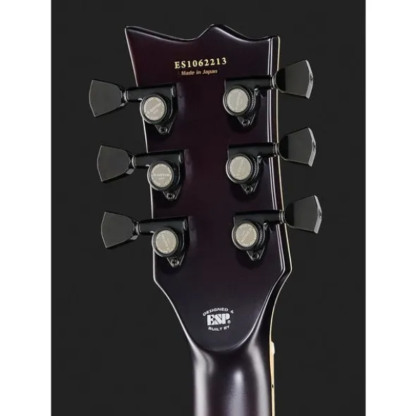 ESP E-II Eclipse FT FM TSB