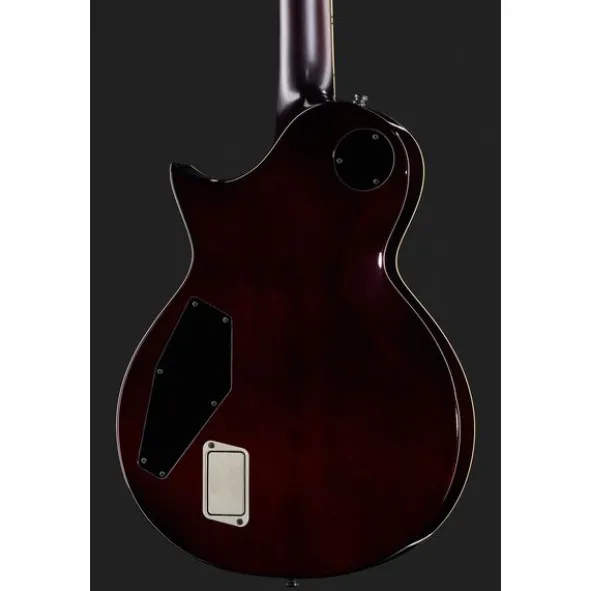 ESP E-II Eclipse FT FM TSB
