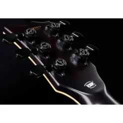 ESP E-II Eclipse FT FM TSB