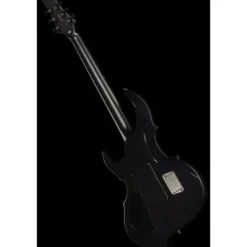 ESP E-II FRX FM RDB