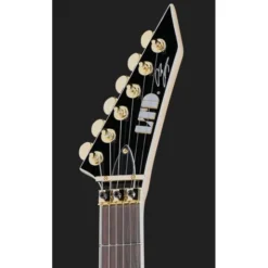 ESP LTD Alexi Laiho Arrowhead