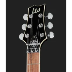 ESP LTD AS 1FRFM BLKAQSB