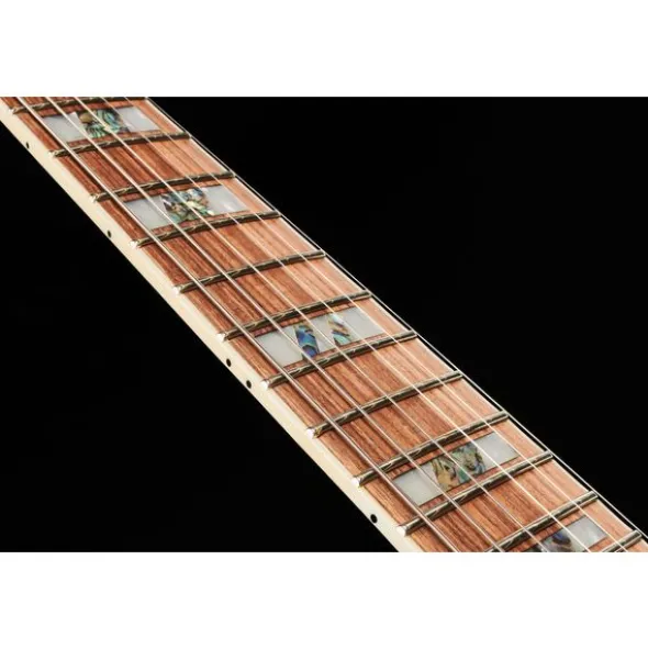 ESP LTD AS 1FRFM BLKAQSB