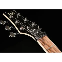 ESP LTD AS 1FRFM BLKAQSB