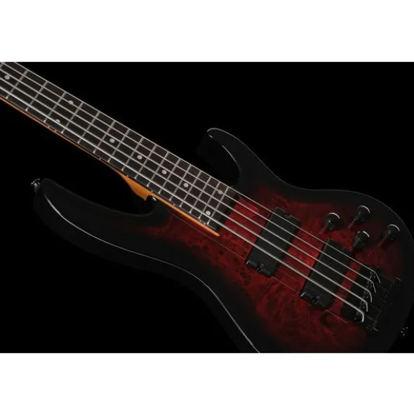 ESP LTD B-205DX RB