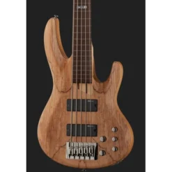 ESP LTD B205SM FL Natural S Bundle