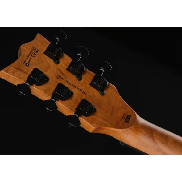 ESP LTD EC-200DX BLB