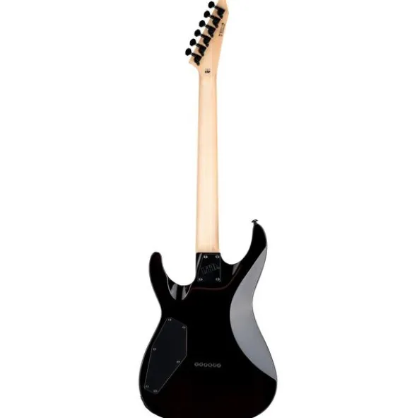 ESP LTD MH-200HT QM BS