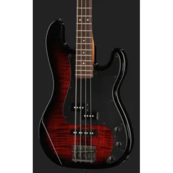 ESP LTD Surveyor-204DX RB