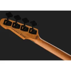 ESP LTD Surveyor-204DX RB