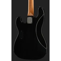 ESP LTD Surveyor-204DX RB