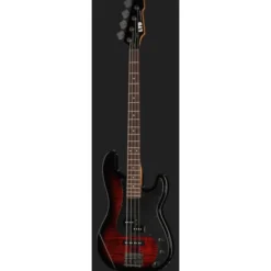 ESP LTD Surveyor-204DX RB