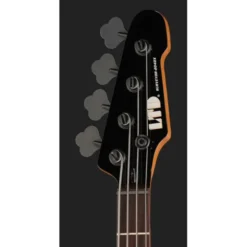 ESP LTD Surveyor-204DX RB