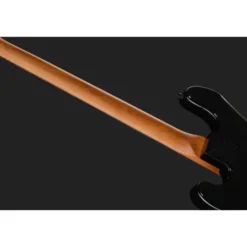 ESP LTD Surveyor-204DX RB