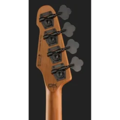 ESP LTD Surveyor-204DX RB