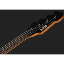 ESP LTD Surveyor-204DX RB