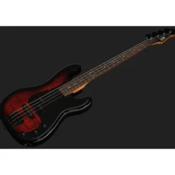 ESP LTD Surveyor-204DX RB