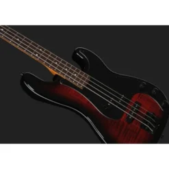 ESP LTD Surveyor-204DX RB