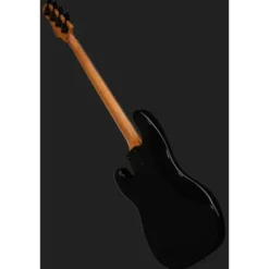 ESP LTD Surveyor-204DX RB