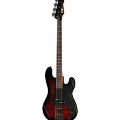 ESP LTD Surveyor-204DX RB