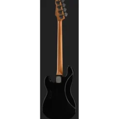 ESP LTD Surveyor-204DX RB