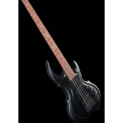 ESP LTD TA-204 FRX
