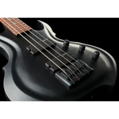 ESP LTD TA-204 FRX