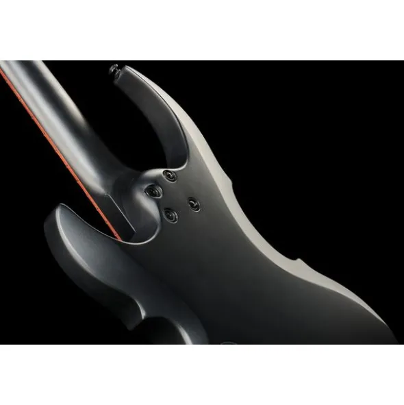 ESP LTD TA-204 FRX