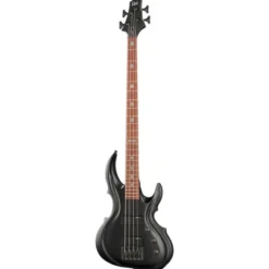 ESP LTD TA-204 FRX