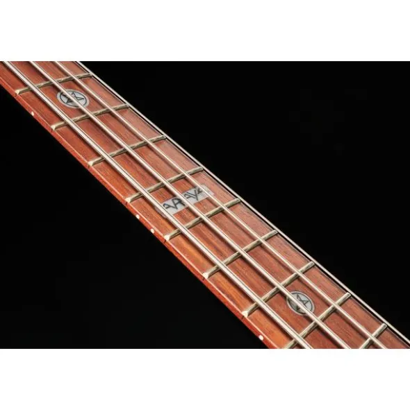 ESP LTD TA-204 FRX