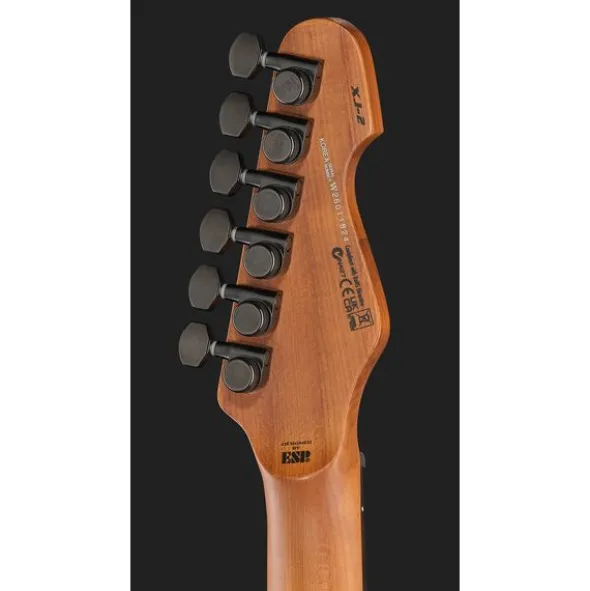 ESP LTD XJ-2HT SWD